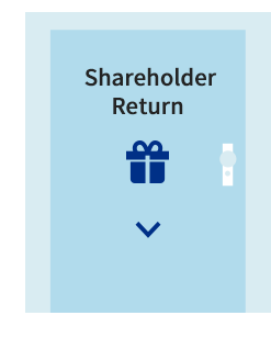 Shareholders Return