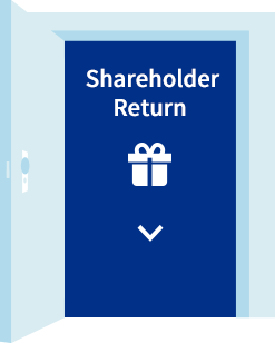 Shareholders Return