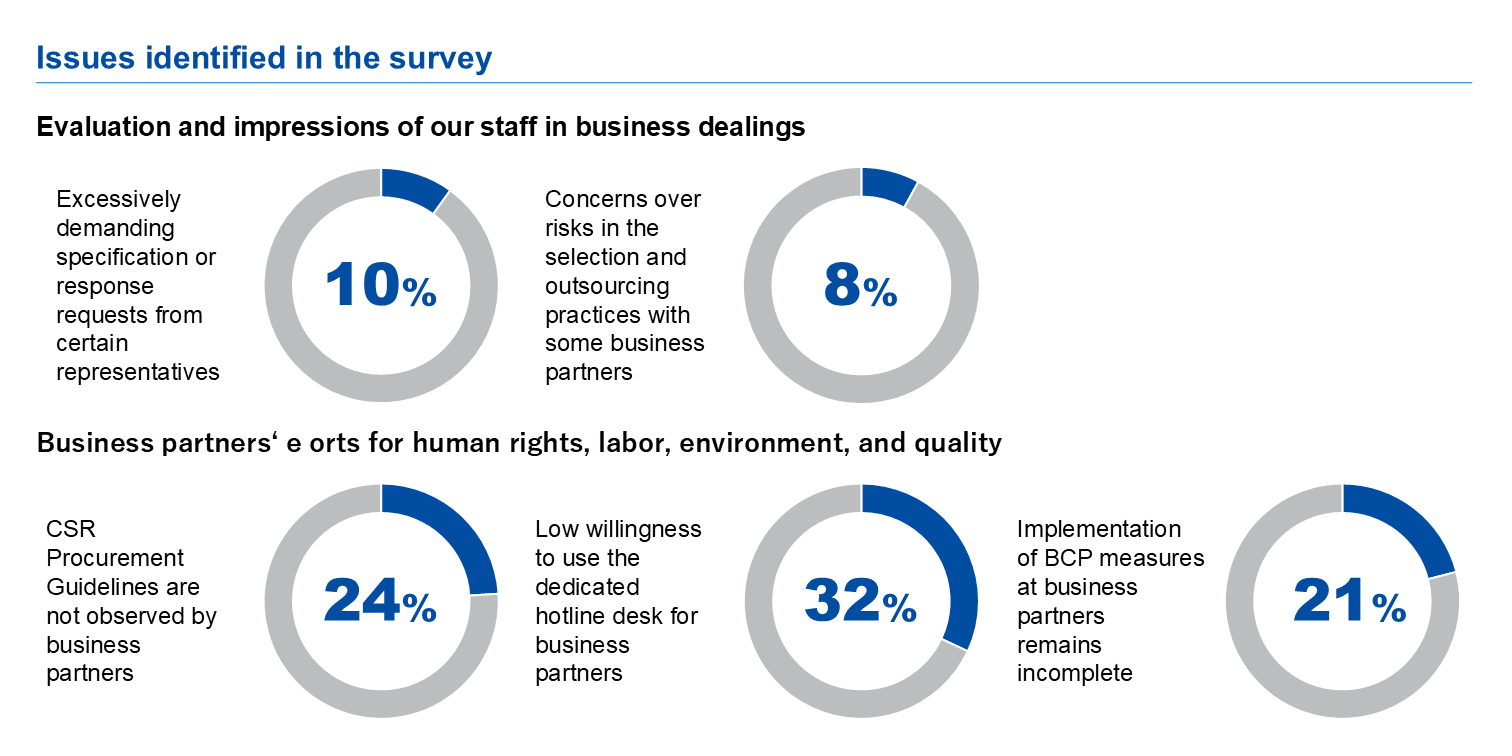 Issues identified in the survey