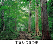 木造注文住宅の株式会社もりぞうの株式取得(子会社化)に関するお知らせ