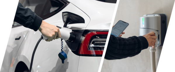 Terra Charge使用時の様子